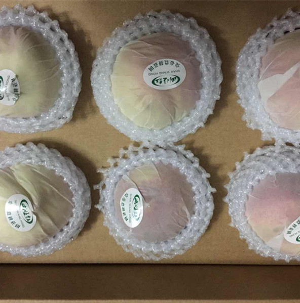 K彩票水蜜桃K彩票
专用K彩票
袋